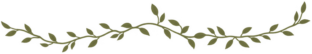 branch
